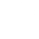 brain
